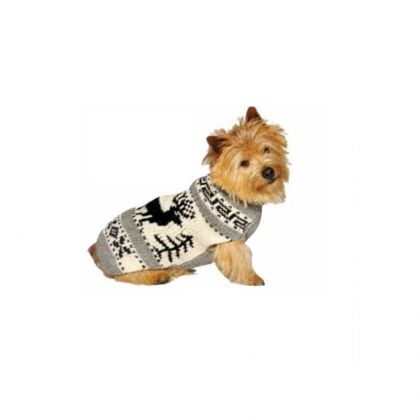 chilly-dog-reindeer-sweater